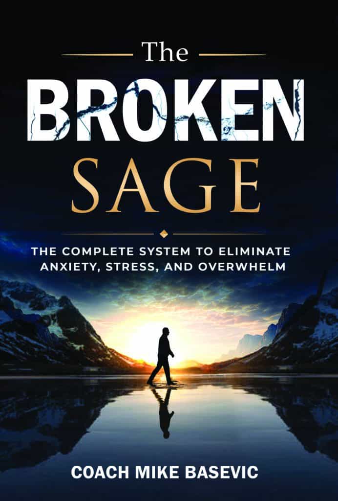 The Broken Sage book cover